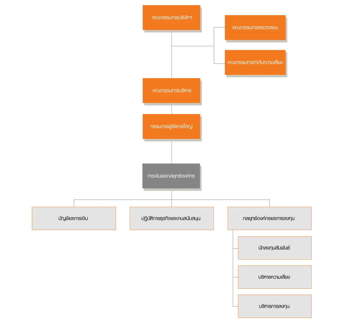 Management Structure